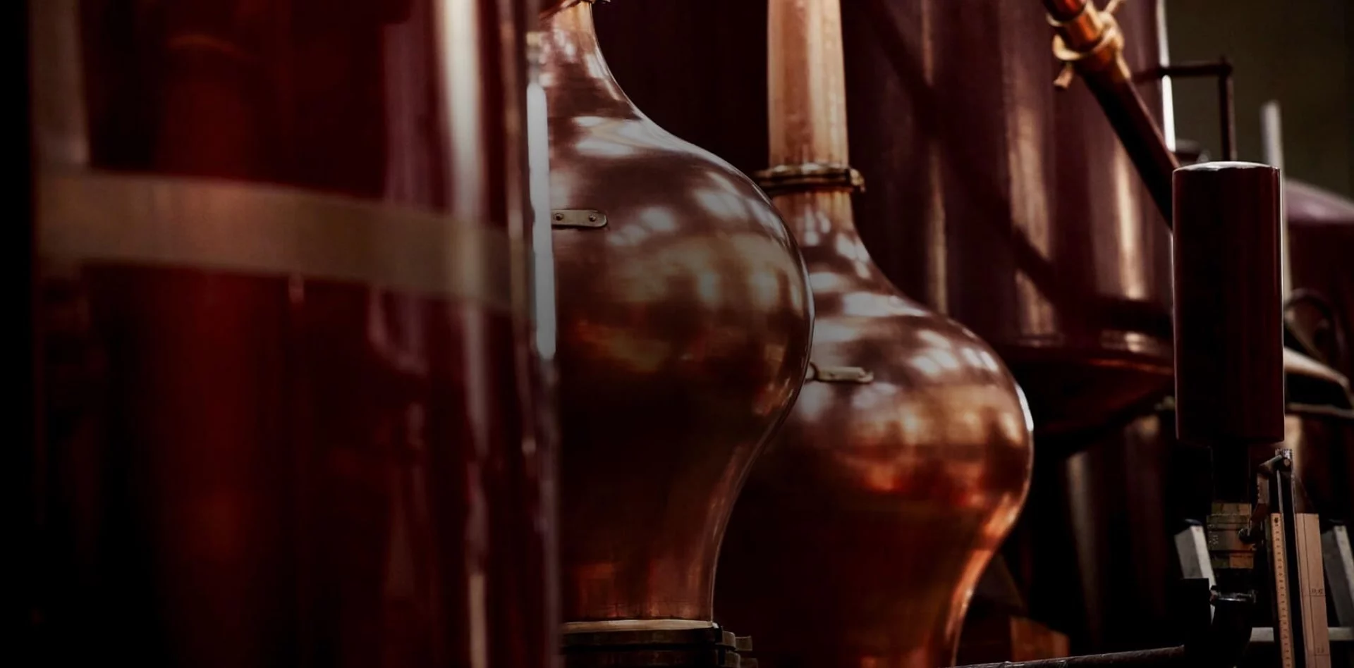 The Origin of Cognac: A Journey Through Time